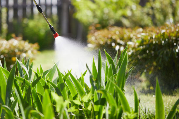 24/7 Emergency Ant Control experts in Moreauville, LA