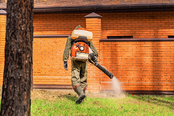 Trusted Ant Control service in Moreauville, LA - Nex Pest Control